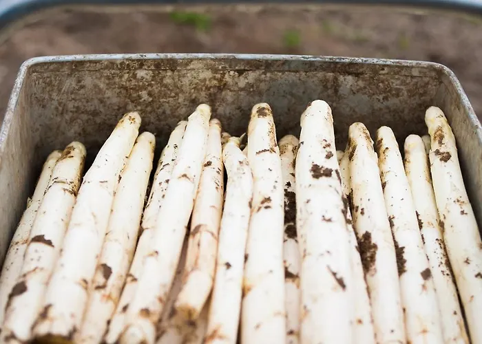 De Maasduinen Hotel 3*