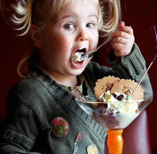 De Maasduinen Velden